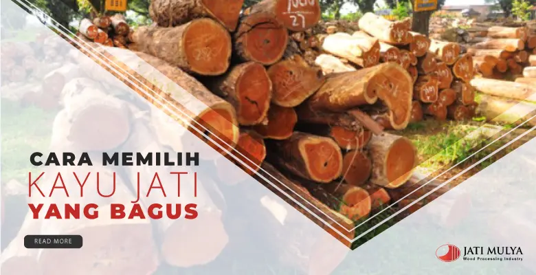 Cara Pintar Memilih Kayu Jati Berkualitas