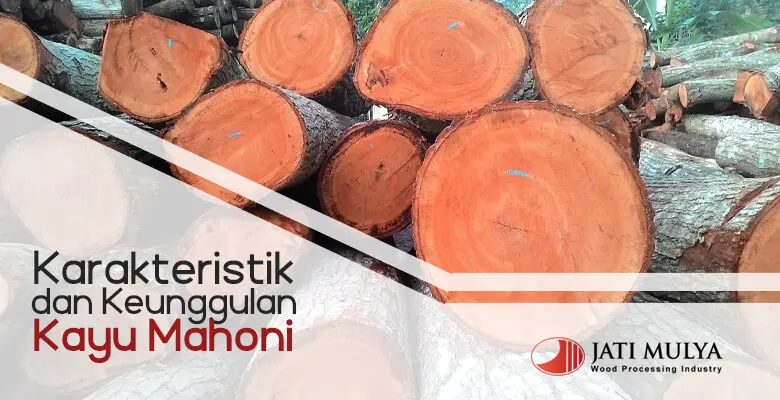Karakteristik dan Keunggulan Kayu Mahoni Karakteristik dan Keunggulan Kayu Mahoni