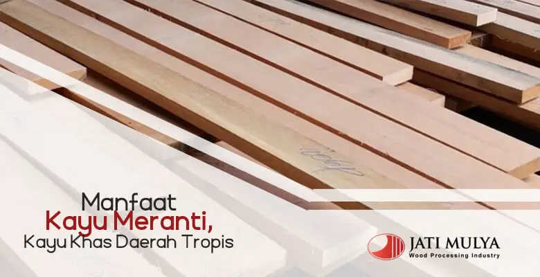 Manfaat Kayu Meranti, Kayu Khas Daerah Tropis