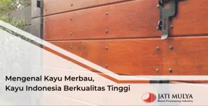 Mengenal Kayu Merbau, Kayu Indonesia Berkualitas Tinggi