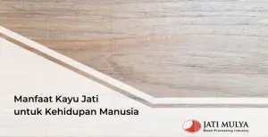 Manfaat Kayu Jati untuk Kehidupan Manusia