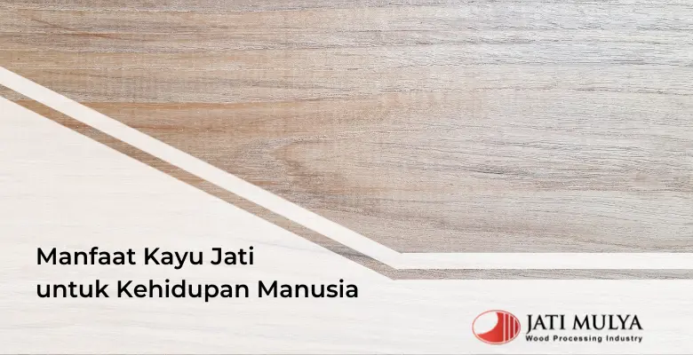 Manfaat Kayu Jati untuk Kehidupan Manusia