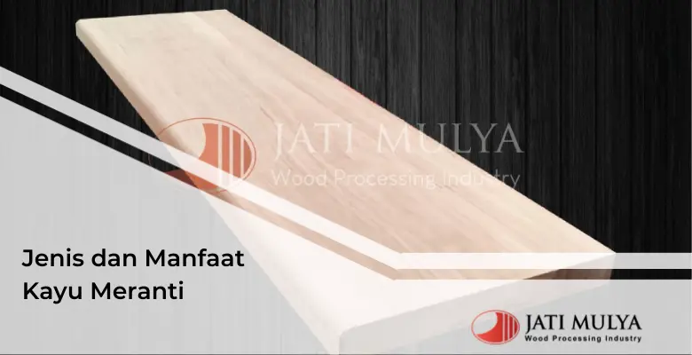 Jenis dan Manfaat Kayu Meranti