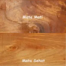 Cara Pintar Memilih Kayu Jati Berkualitas