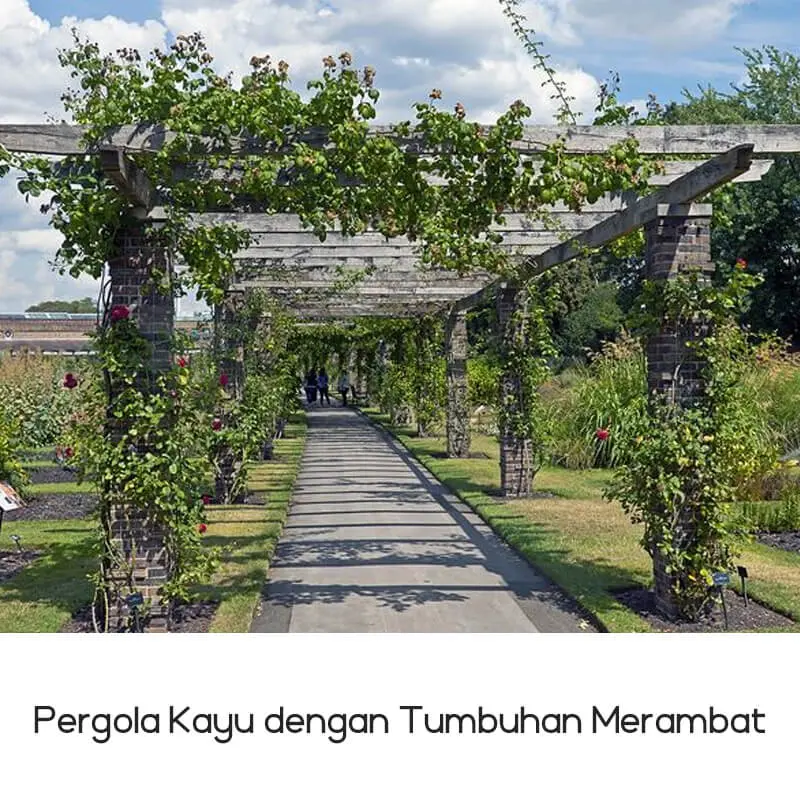 Pergola Kayu dengan Tumbuhan Merambat