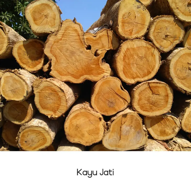 Kayu Jati