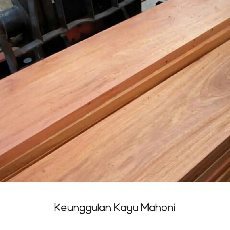 Keunggulan Kayu Mahoni