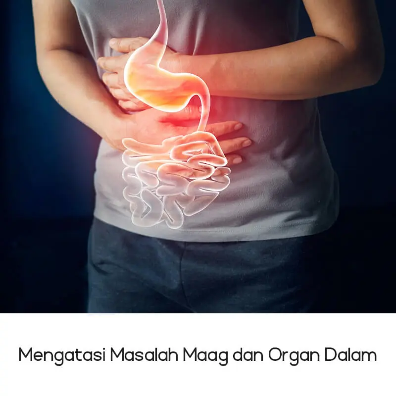 Mengatasi Masalah Maag dan Organ Dalam 