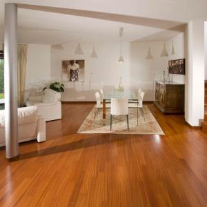 Manfaat Kayu Jati untuk Kehidupan Manusia