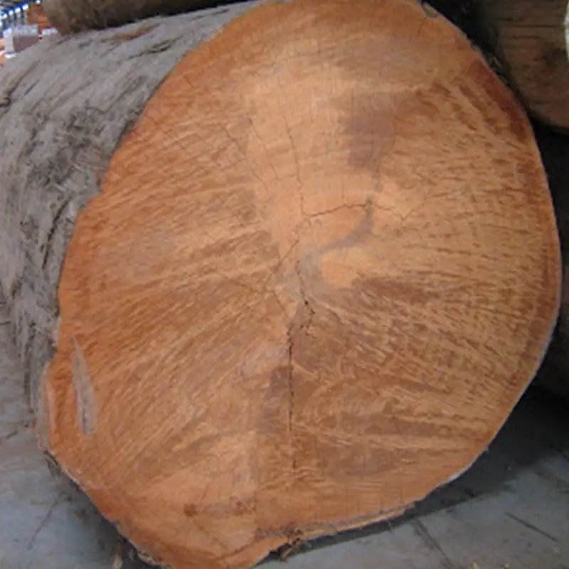 Kayu Bengkirai 