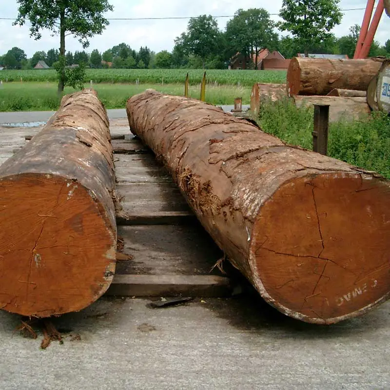 Kayu Merbau